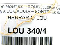 Pulsa para ver original